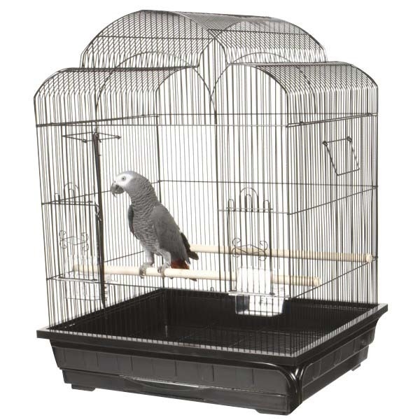 best cage for small parrots